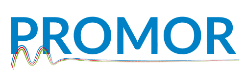 cropped promor.png
